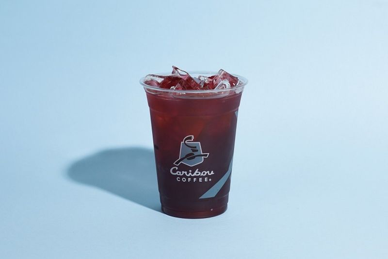 كركديه مثلج - كبير