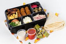 Falafel Plate