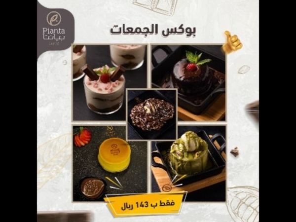 كريب فوتشيني + بستاشيو كيك + الكيكة اليابنية + تيراميسو + مولتن لافا كيك